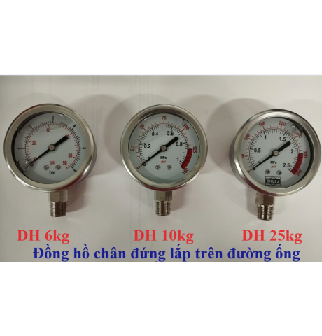 Đồng hồ áp lắp đường ống