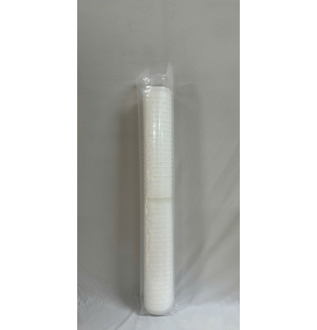 Lõi xác khuẩn 20 inch