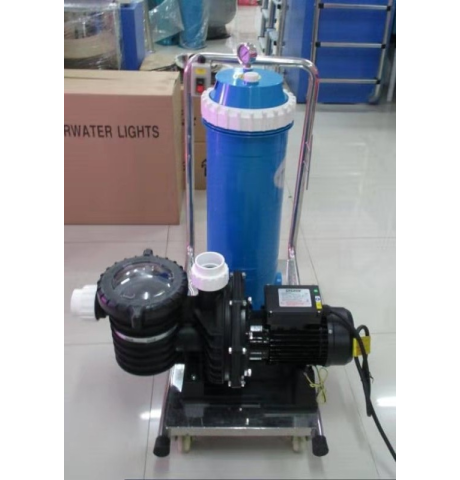 Xe đẩy bể bơi 1