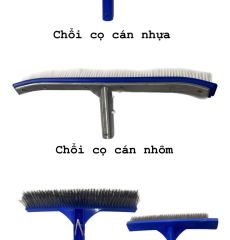 A Chổi cọ bể bơi