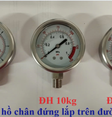 Đồng hồ áp lắp đường ống