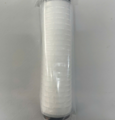 Lõi xác khuẩn 10 inch