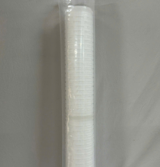 Lõi xác khuẩn 20 inch